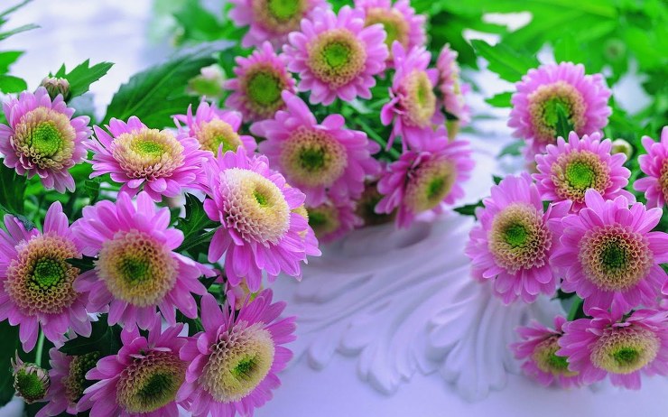 beautiful-pink-flowers.jpg