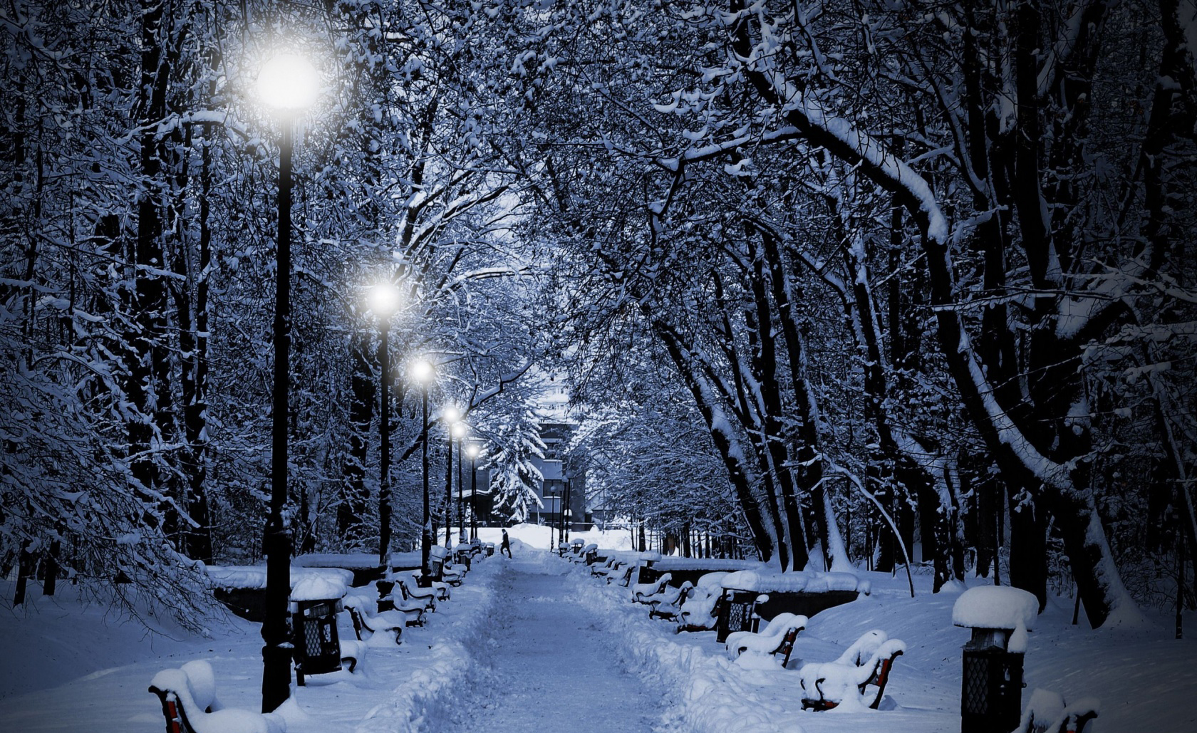 snowy_park_at_night-wallpaper-1680x1050.jpg